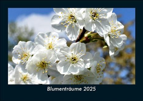 Tobias Becker: Blumenträume 2025 Fotokalender DIN A5, Kalender