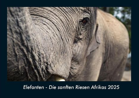 Tobias Becker: Elefanten - Die sanften Riesen Afrikas 2025 Fotokalender DIN A4, Kalender