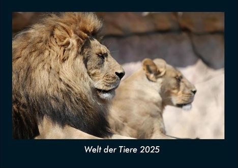 Tobias Becker: Welt der Tiere 2025 Fotokalender DIN A4, Kalender