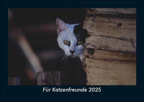 Tobias Becker: Für Katzenfreunde 2025 Fotokalender DIN A5, Kalender