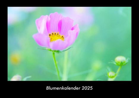 Tobias Becker: Blumenkalender 2025 Fotokalender DIN A3, Kalender