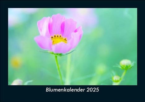 Tobias Becker: Blumenkalender 2025 Fotokalender DIN A5, Kalender