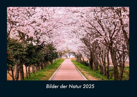 Tobias Becker: Bilder der Natur 2025 Fotokalender DIN A4, Kalender