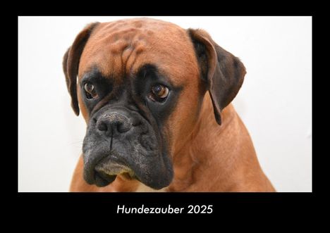 Tobias Becker: Hundezauber 2025 Fotokalender DIN A3, Kalender