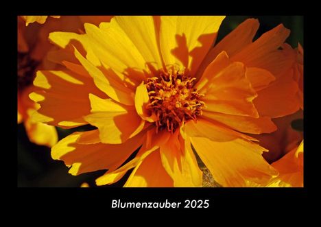 Tobias Becker: Blumenzauber 2025 Fotokalender DIN A3, Kalender