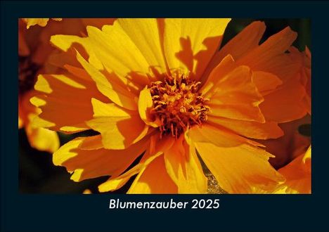 Tobias Becker: Blumenzauber 2025 Fotokalender DIN A5, Kalender