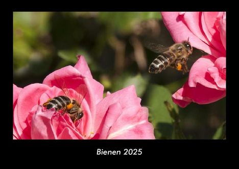 Tobias Becker: Bienen 2025 Fotokalender DIN A3, Kalender