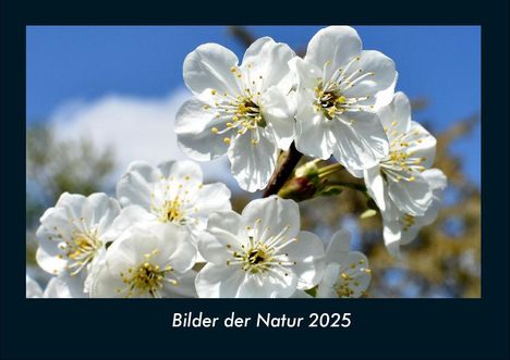 Tobias Becker: Bilder der Natur 2025 Fotokalender DIN A4, Kalender