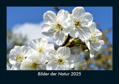 Tobias Becker: Bilder der Natur 2025 Fotokalender DIN A5, Kalender