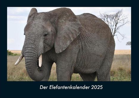 Tobias Becker: Der Elefantenkalender 2025 Fotokalender DIN A4, Kalender