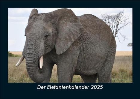 Tobias Becker: Der Elefantenkalender 2025 Fotokalender DIN A5, Kalender