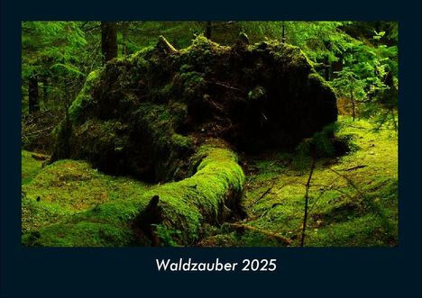 Tobias Becker: Waldzauber 2025 Fotokalender DIN A4, Kalender