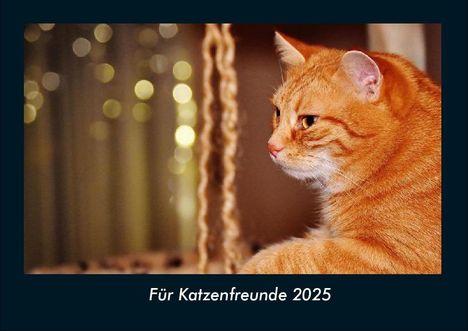 Tobias Becker: Für Katzenfreunde 2025 Fotokalender DIN A4, Kalender