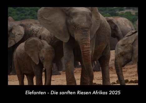 Tobias Becker: Elefanten - Die sanften Riesen Afrikas 2025 Fotokalender DIN A3, Kalender