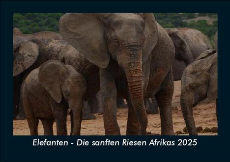 Tobias Becker: Elefanten - Die sanften Riesen Afrikas 2025 Fotokalender DIN A5, Kalender