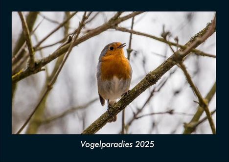 Tobias Becker: Vogelparadies 2025 Fotokalender DIN A4, Kalender