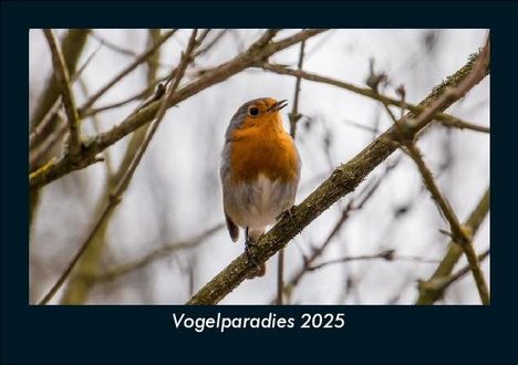 Tobias Becker: Vogelparadies 2025 Fotokalender DIN A5, Kalender