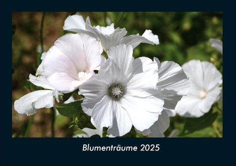 Tobias Becker: Blumenträume 2025 Fotokalender DIN A4, Kalender