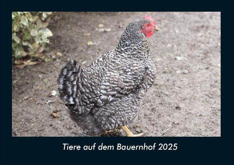 Tobias Becker: Tiere auf dem Bauernhof 2025 Fotokalender DIN A4, Kalender