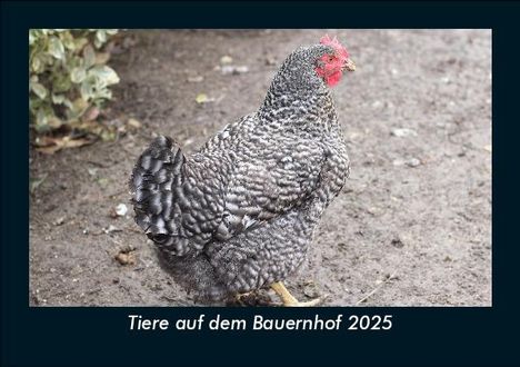 Tobias Becker: Tiere auf dem Bauernhof 2025 Fotokalender DIN A5, Kalender