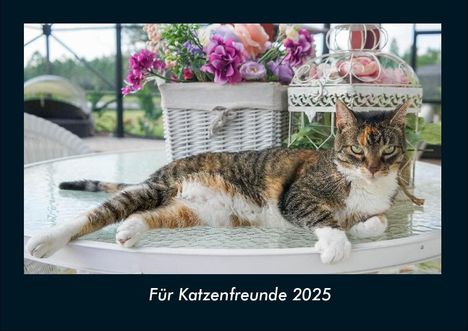 Tobias Becker: Für Katzenfreunde 2025 Fotokalender DIN A4, Kalender