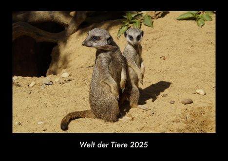 Tobias Becker: Welt der Tiere 2025 Fotokalender DIN A3, Kalender