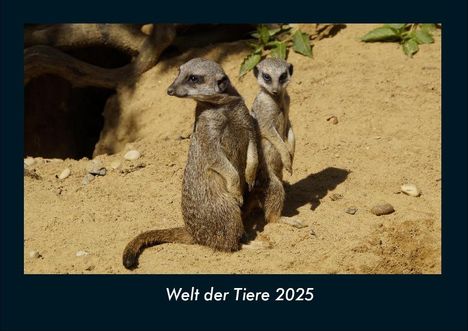 Tobias Becker: Welt der Tiere 2025 Fotokalender DIN A4, Kalender