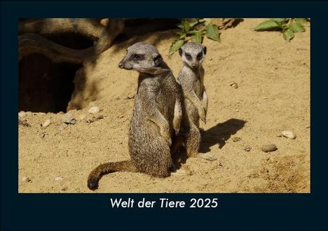 Tobias Becker: Welt der Tiere 2025 Fotokalender DIN A5, Kalender