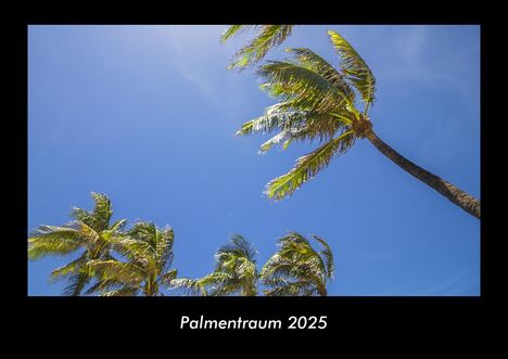 Tobias Becker: Palmentraum 2025 Fotokalender DIN A3, Kalender