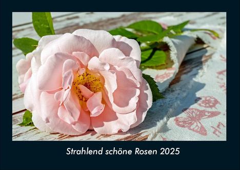 Tobias Becker: Strahlend schöne Rosen 2025 Fotokalender DIN A4, Kalender