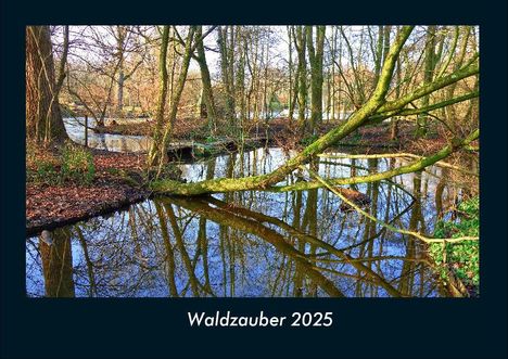 Tobias Becker: Waldzauber 2025 Fotokalender DIN A4, Kalender