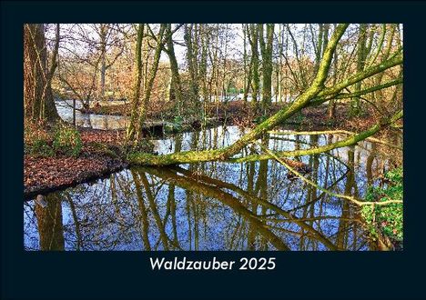 Tobias Becker: Waldzauber 2025 Fotokalender DIN A5, Kalender