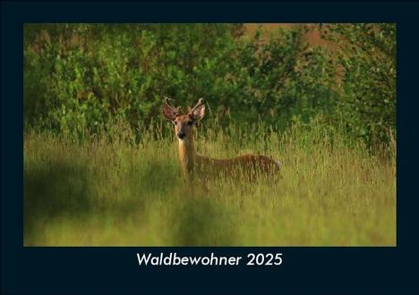 Tobias Becker: Waldbewohner 2025 Fotokalender DIN A5, Kalender