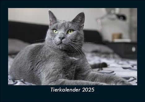 Tobias Becker: Tierkalender 2025 Fotokalender DIN A5, Kalender