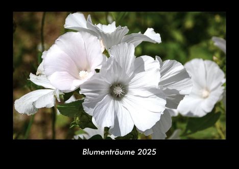 Tobias Becker: Blumenträume 2025 Fotokalender DIN A3, Kalender