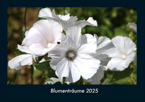 Tobias Becker: Blumenträume 2025 Fotokalender DIN A4, Kalender