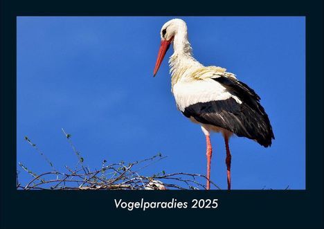 Tobias Becker: Vogelparadies 2025 Fotokalender DIN A4, Kalender