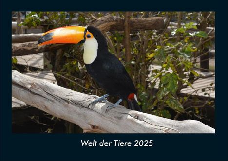 Tobias Becker: Welt der Tiere 2025 Fotokalender DIN A4, Kalender