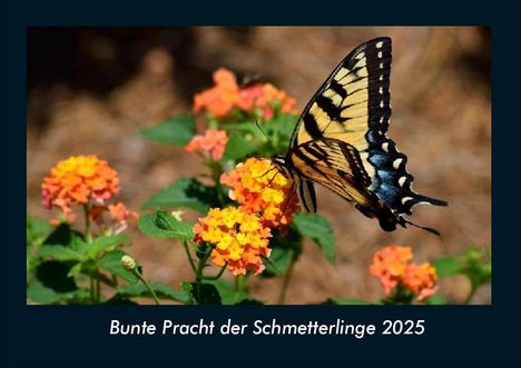 Tobias Becker: Bunte Pracht der Schmetterlinge 2025 Fotokalender DIN A4, Kalender