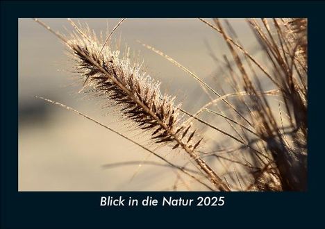 Tobias Becker: Blick in die Natur 2025 Fotokalender DIN A5, Kalender