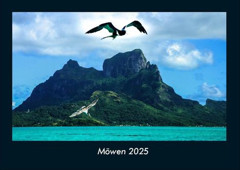 Tobias Becker: Möwen 2025 Fotokalender DIN A4, Kalender