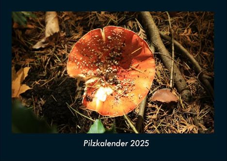 Tobias Becker: Pilzkalender 2025 Fotokalender DIN A4, Kalender