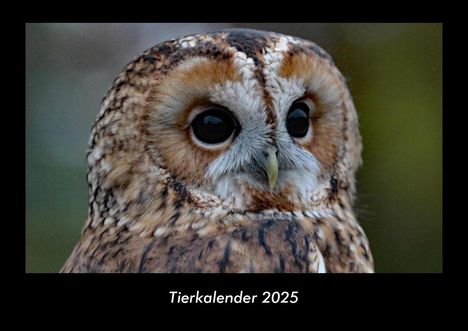 Tobias Becker: Tierkalender 2025 Fotokalender DIN A3, Kalender