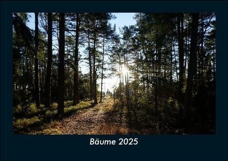 Tobias Becker: Bäume 2025 Fotokalender DIN A5, Kalender