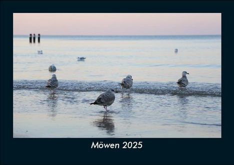 Tobias Becker: Möwen 2025 Fotokalender DIN A5, Kalender