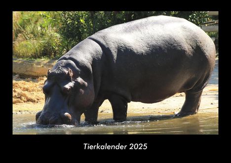 Tobias Becker: Tierkalender 2025 Fotokalender DIN A3, Kalender