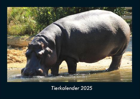 Tobias Becker: Tierkalender 2025 Fotokalender DIN A4, Kalender