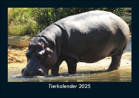 Tobias Becker: Tierkalender 2025 Fotokalender DIN A5, Kalender