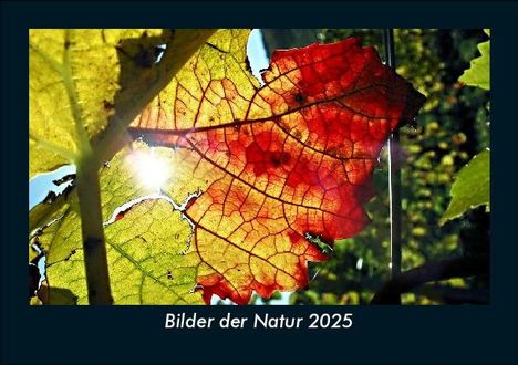 Tobias Becker: Bilder der Natur 2025 Fotokalender DIN A5, Kalender