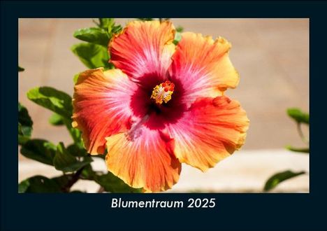 Tobias Becker: Blumentraum 2025 Fotokalender DIN A5, Kalender